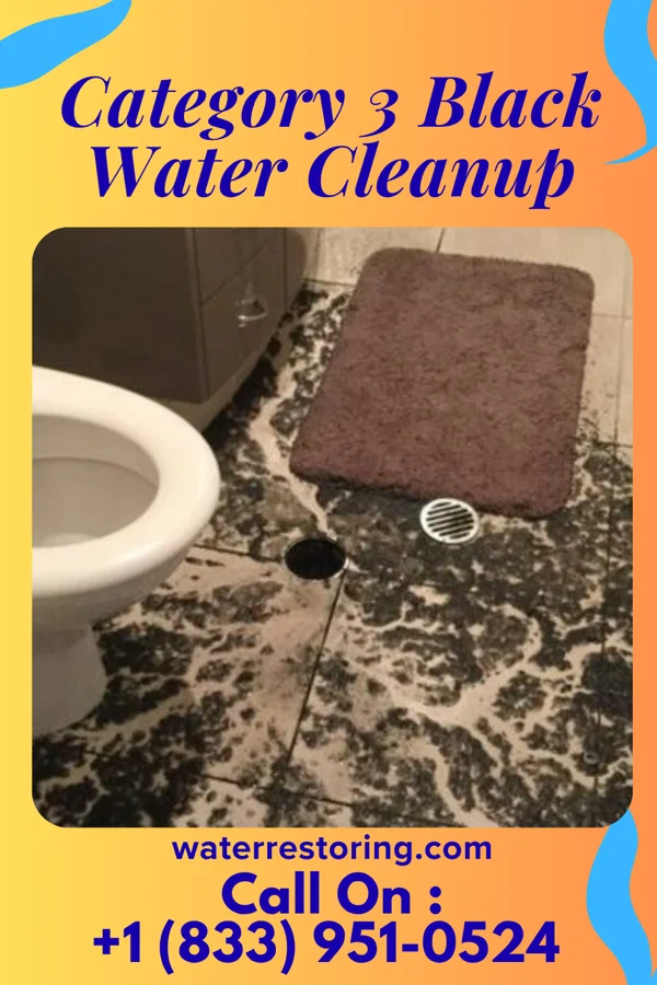 Category 3 Black Water Cleanup in Patterson, AR