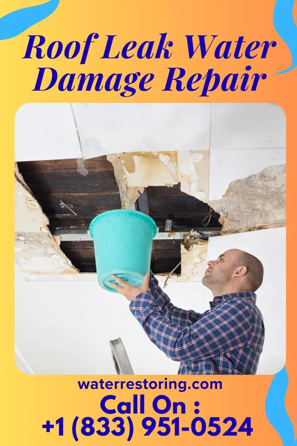 Roof Leak Water Damage Repair in Patterson, AR